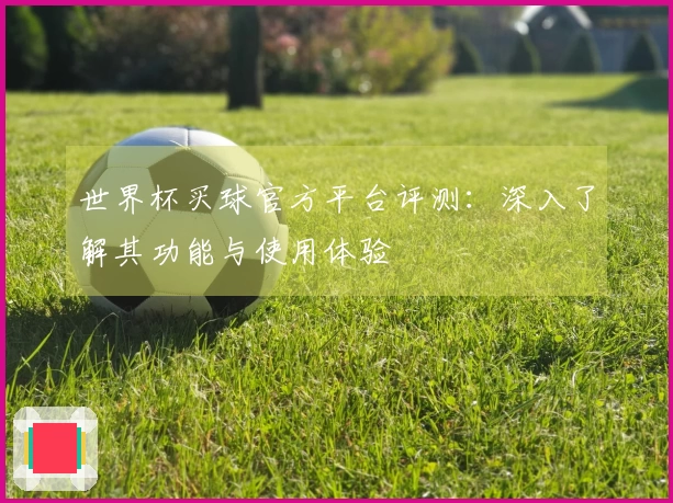 世界杯买球官方平台评测：深入了解其功能与使用体验