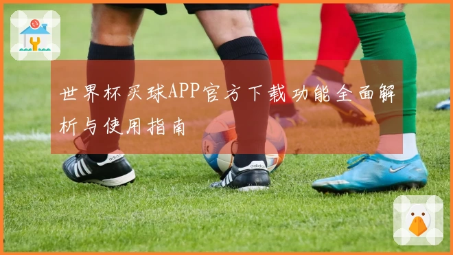 世界杯买球APP官方下载功能全面解析与使用指南