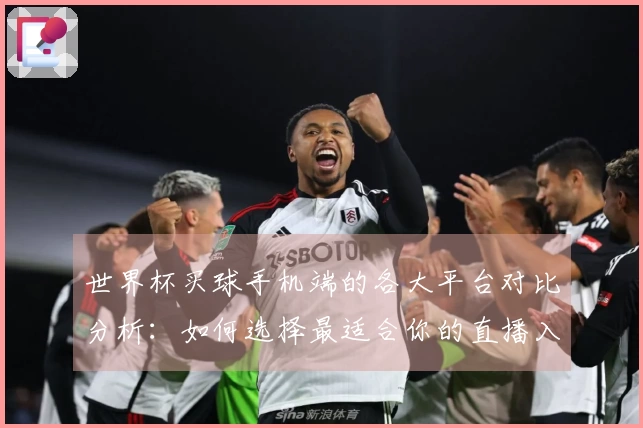 世界杯买球手机端的各大平台对比分析：如何选择最适合你的直播入口与体验