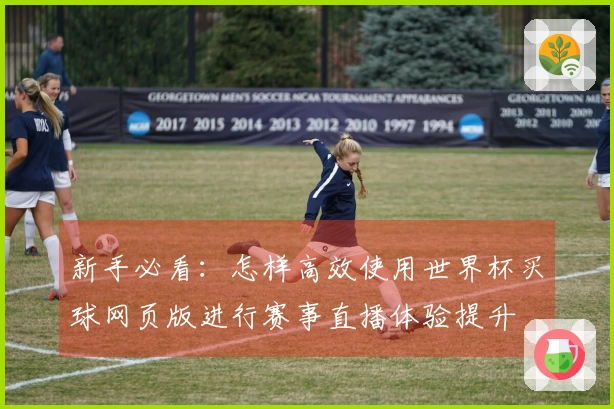 新手必看：怎样高效使用世界杯买球网页版进行赛事直播体验提升