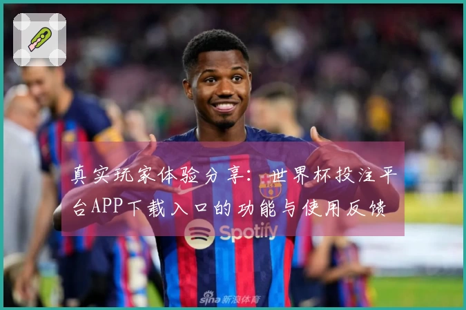 真实玩家体验分享：世界杯投注平台APP下载入口的功能与使用反馈