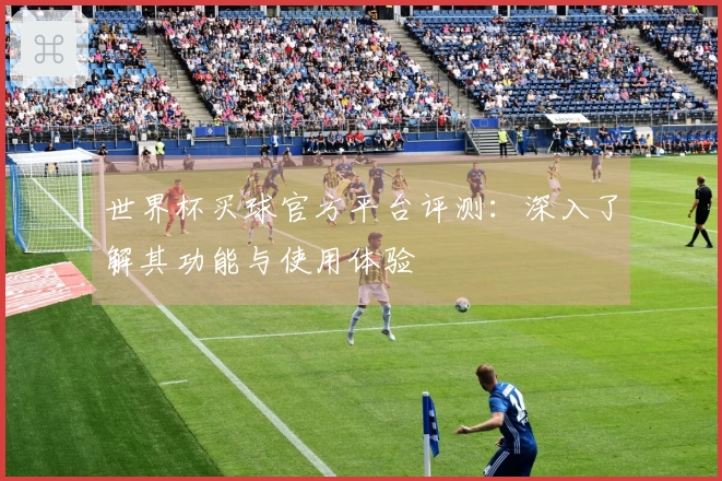 世界杯买球官方平台评测：深入了解其功能与使用体验