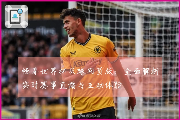 畅享世界杯买球网页版，全面解析实时赛事直播与互动体验
