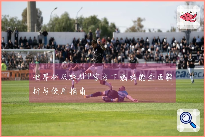 世界杯买球APP官方下载功能全面解析与使用指南